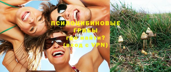 таблы Белокуриха