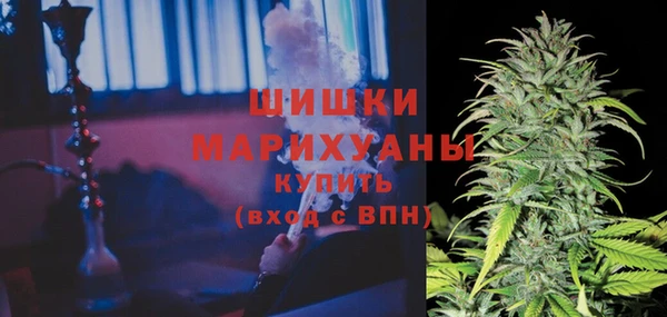 круглые Аркадак