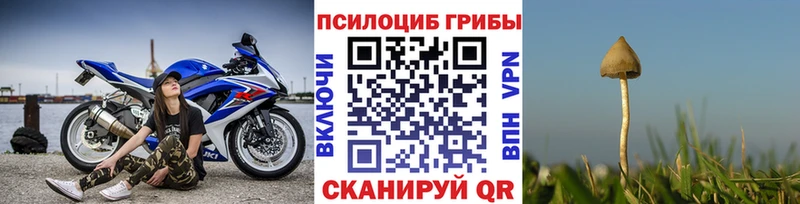 Псилоцибиновые грибы мухоморы  Купить где  Темрюк 