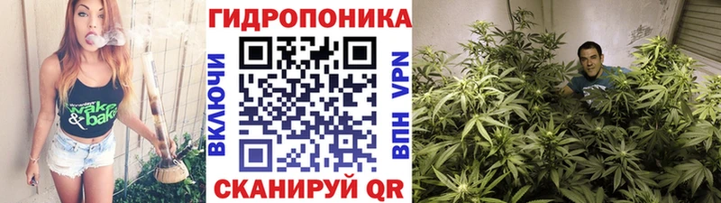 Бошки марихуана Bruce Banner  Купить закладки  Темрюк 
